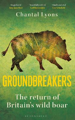 Cover: Groundbreakers