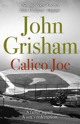 Cover: Calico Joe
