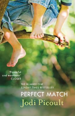 Cover: Perfect Match