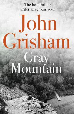 Cover: Gray Mountain