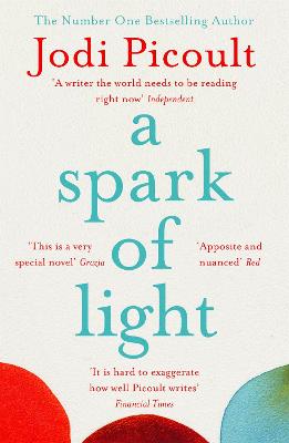 Cover: A Spark of Light