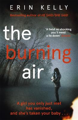 Cover: The Burning Air