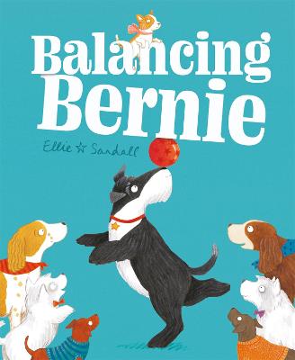 Cover: Balancing Bernie