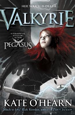 Cover: Valkyrie