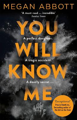 Cover: You Will Know Me