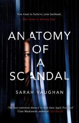 Image of Anatomy of a Scandal