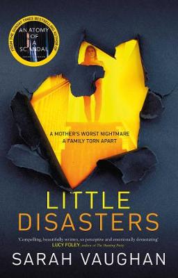 Image of Little Disasters