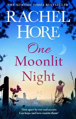 Cover: One Moonlit Night