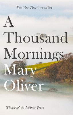 Cover: A Thousand Mornings