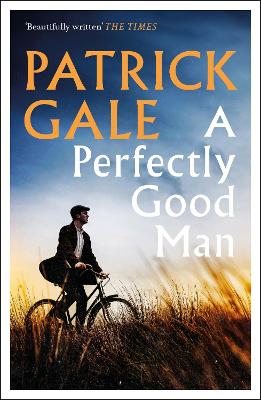 Cover: A Perfectly Good Man