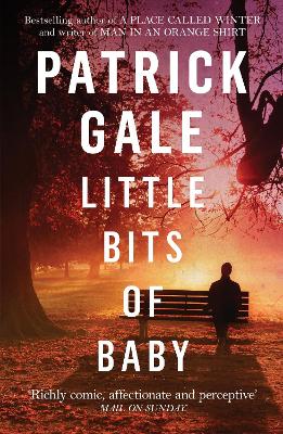 Cover: Little Bits of Baby
