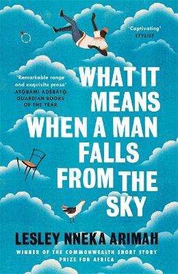 Cover: What It Means When A Man Falls From The Sky