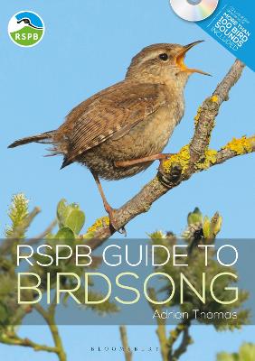 Image of RSPB Guide to Birdsong