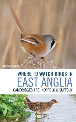 Cover: Where to Watch Birds in East Anglia