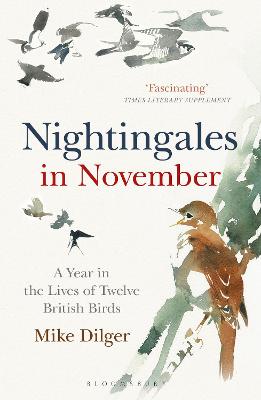 Cover: Nightingales in November