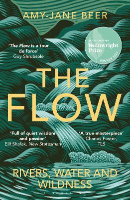 Cover: The Flow