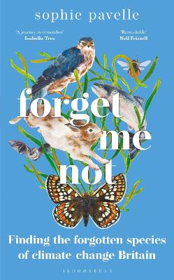 Cover: Forget Me Not