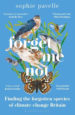 Image of Forget Me Not