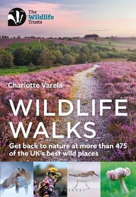 Cover: Wildlife Walks
