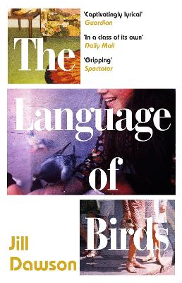 Cover: The Language of Birds