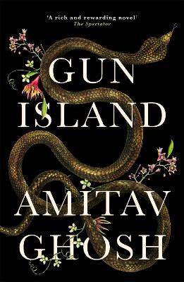 Cover: Gun Island
