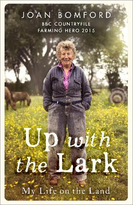 Cover: Up With The Lark