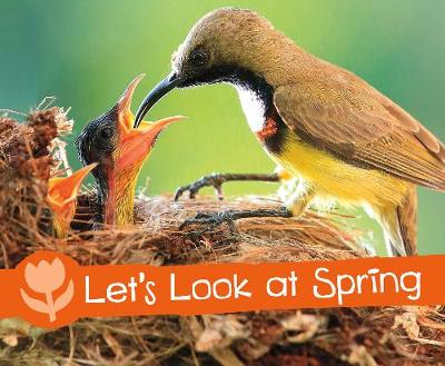 Cover: Let's Look at Spring