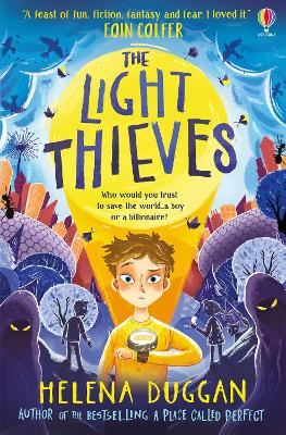 Cover: The Light Thieves