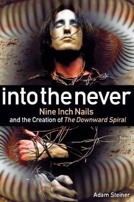 Image of Into the Never