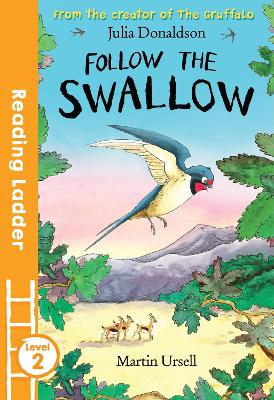 Cover: Follow the Swallow