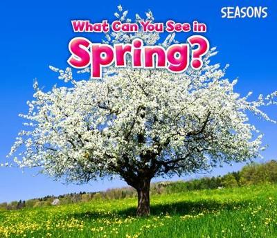 Image of What Can You See In Spring?