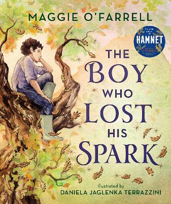 Cover: The Boy Who Lost His Spark