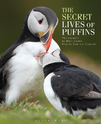 Image of The Secret Lives of Puffins