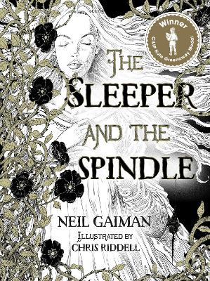 Image of The Sleeper and the Spindle