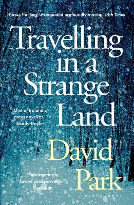 Cover: Travelling in a Strange Land