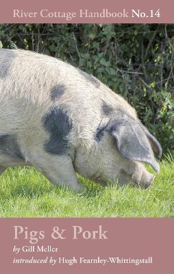 Image of Pigs & Pork