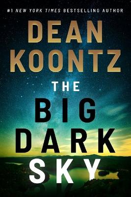Cover: The Big Dark Sky