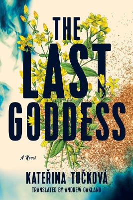 Cover: The Last Goddess