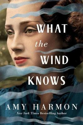 Cover: What the Wind Knows