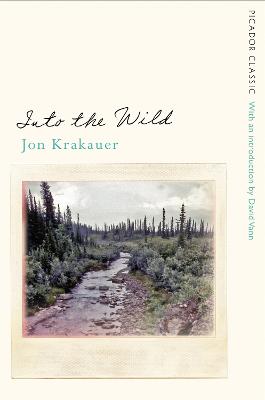 Image of Into the Wild