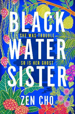Cover: Black Water Sister