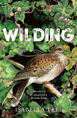 Cover: Wilding