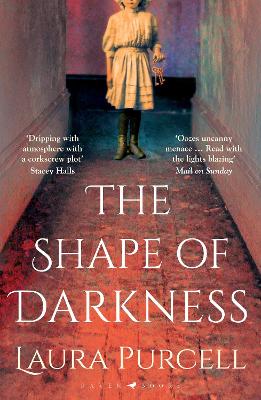 Cover: The Shape of Darkness