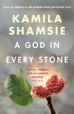 Cover: A God in Every Stone