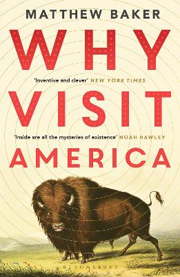 Cover: Why Visit America