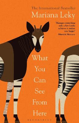 Cover: What You Can See From Here