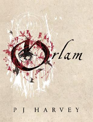Cover: Orlam