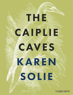 Cover: The Caiplie Caves