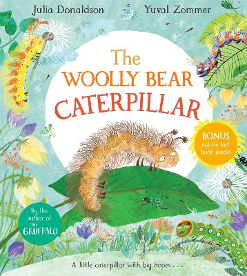 Cover: The Woolly Bear Caterpillar