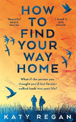 Cover: How To Find Your Way Home